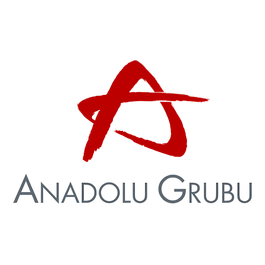 Anadolu Grubu
